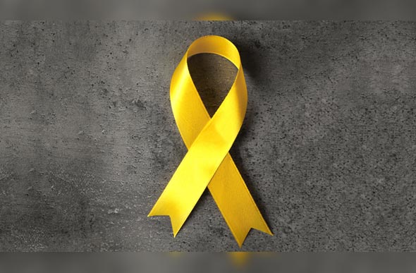 Câmara de Ituiutaba promove evento de valorização da vida
