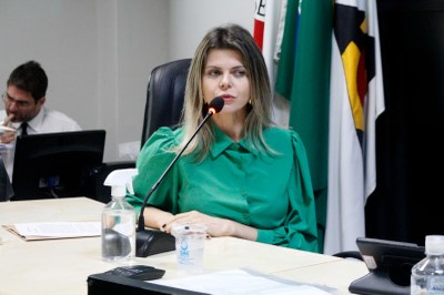 Sessão Ordinária 24 (28).jpeg