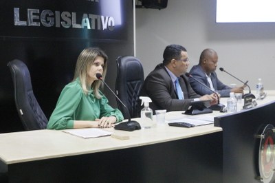 Sessão Ordinária 24 (32).jpeg