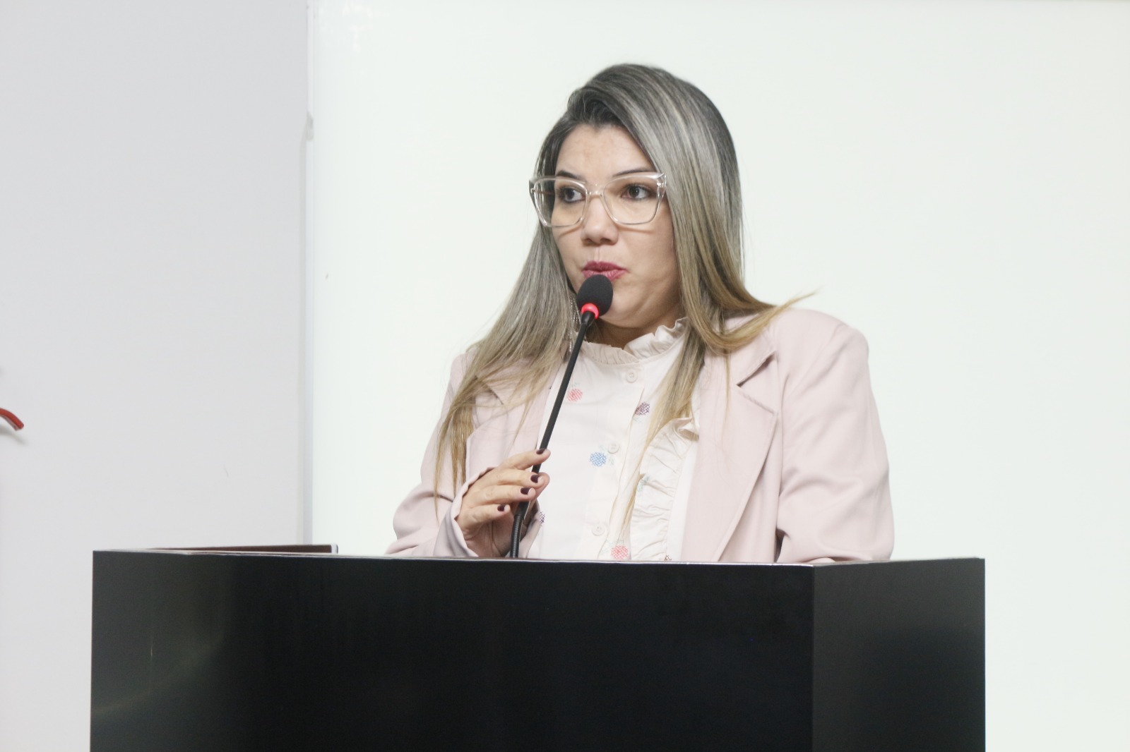 Sessão Ordinária - 15.05 (13).jpeg