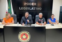 Audiência Pública
