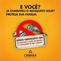 Combate à Dengue 2020