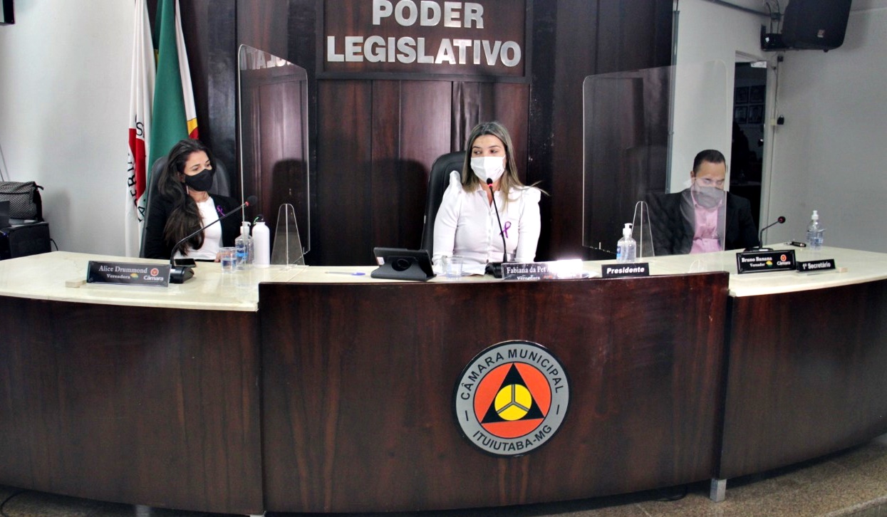 Combate à violência contra a mulher é discutido na Câmara de Ituiutaba