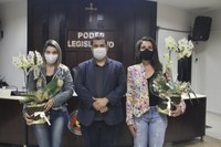 Poder Legislativo presta homenagem no Dia Internacional da Mulher