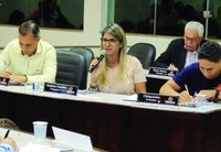 Vereadora Gabriela Ceschim apresenta projeto de lei que prevê a criação da parada alternativa segura para gestantes e mulheres com crianças de colo.